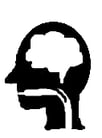 throat_and_brain_icon
